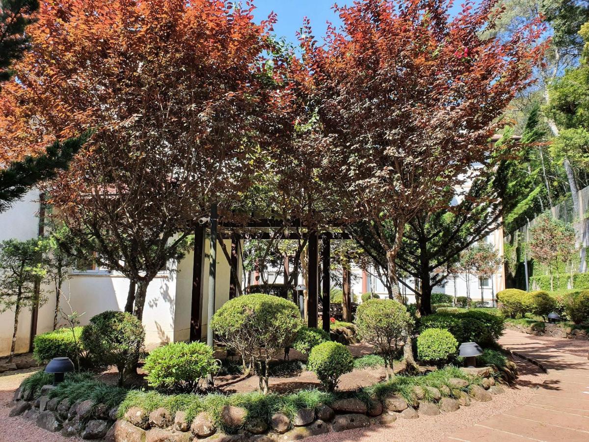 Apto No Centro De Gramado Com Piscina Termica エクステリア 写真